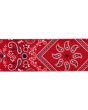 Red Bandanna