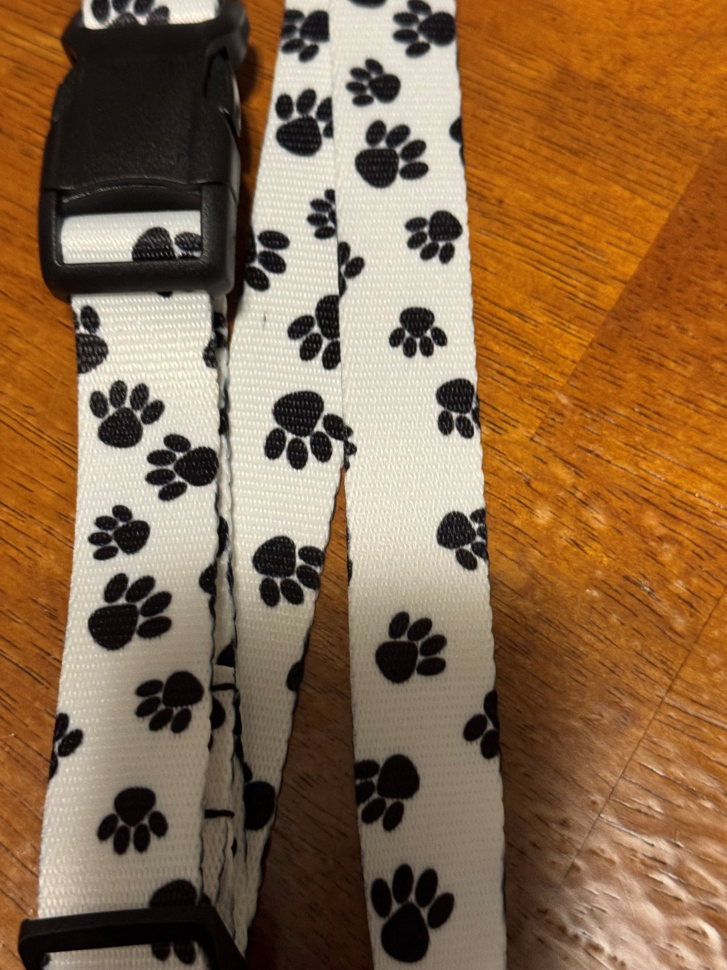 Dog Paws