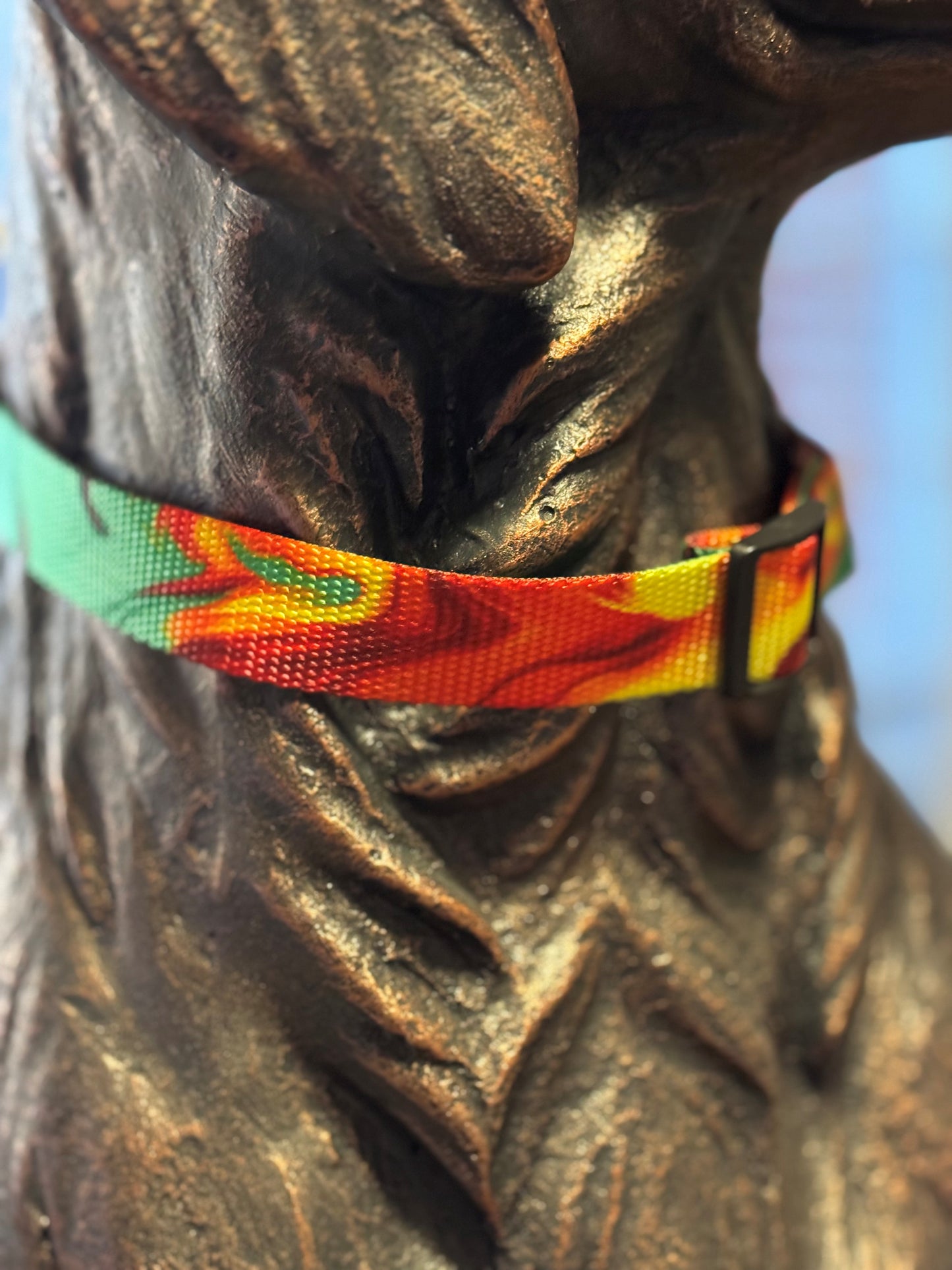 Wicked Rasta